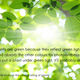 Illustration for article titled 20 Facts About Light To Brighten Your Curiosity